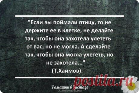 ✔ Ромашки в Экстазе