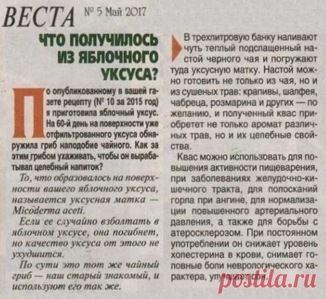 Гриб на поверхности яблочного уксуса (уксусная матка)
