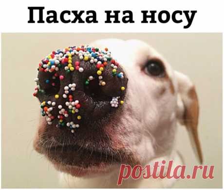 Едет симпатичная молодая девчонка в автобусе, забитом народом под самую крышу, и рядом с ней стоит поддатый мужик. Ну, автобус, как полагается, на повороте качнуло, и сей муж обдал перегаром нашу симпатюлечку: — Мужчина, вы пьяны, вы очень пьяны, вы омерзительно пьяны. — Девушка, у вас кривые ножки, просто омерзительно кривые ножки… А я завтра буду трезвый. - Выпуск №1153 — Вокруг смеха - анекдоты