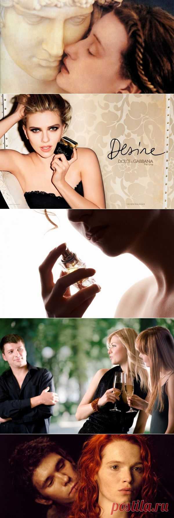 Кафе Алиби | Влияние запахов на психическое состояние