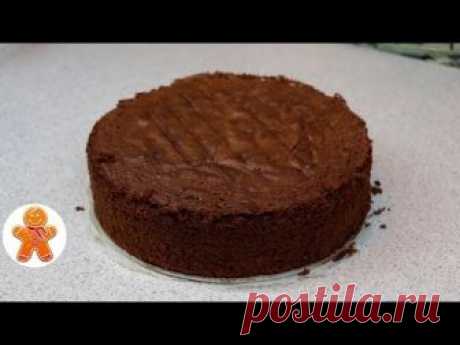 Шоколадный Бисквит "Перфект" ✧ Школа Домашнего Кондитера ✧ Chocolate Sponge Cake (English Subtitles)