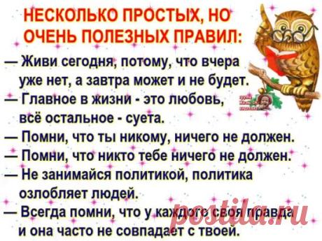 (4) Одноклассники