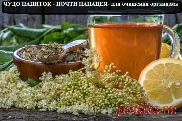 Всё самое интересное!: ЧУДО НАПИТОК - ПОЧТИ ПАНАЦЕЯ- для очищения организма