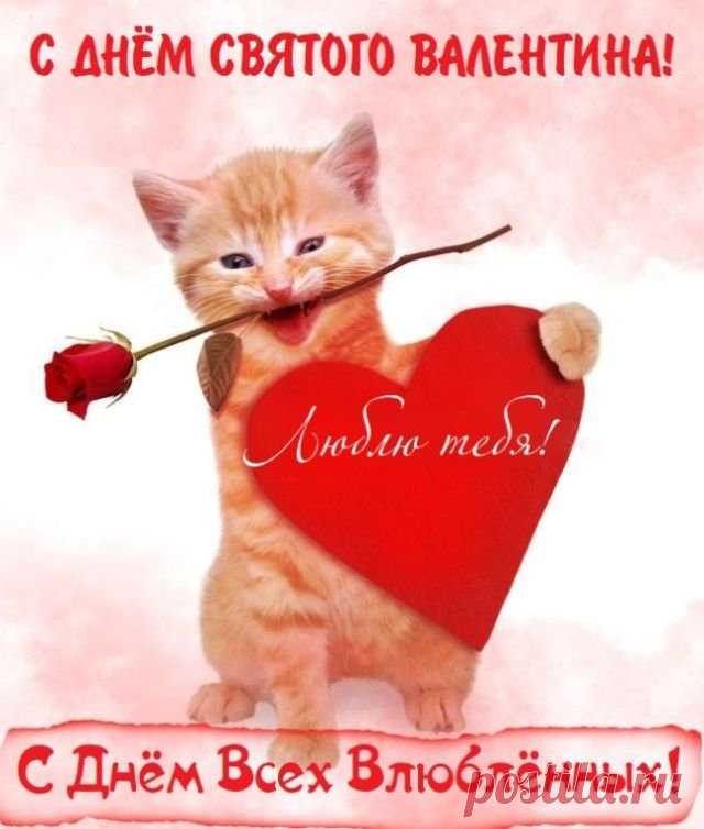 Я сегодня от души
В день любви тебе желаю
Море счастья. И запомни:
Тебя люблю и обожаю.