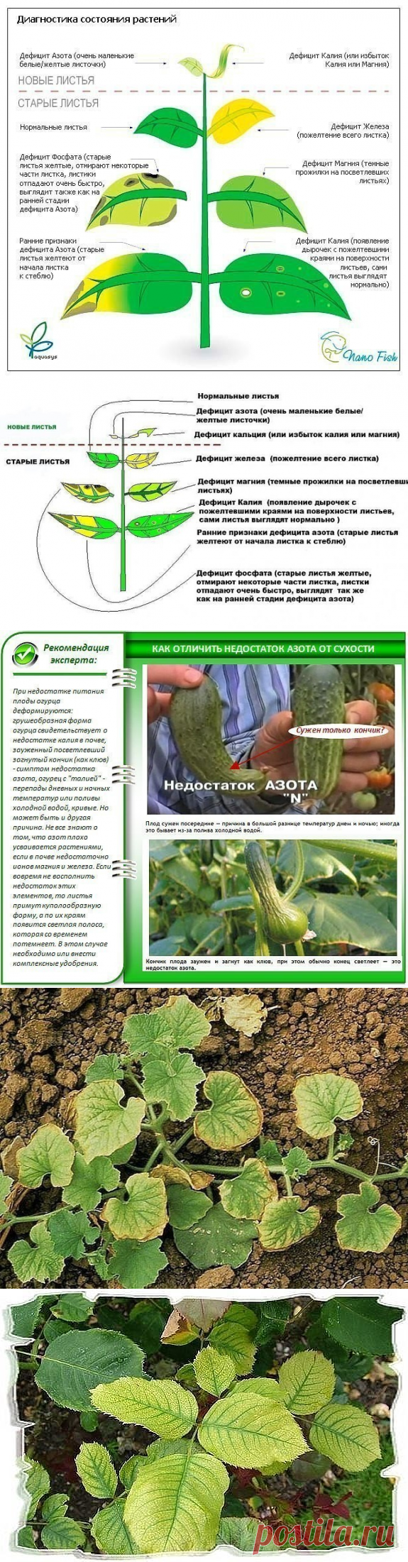 Одноклассники