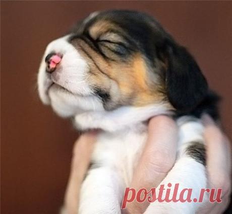 ۩♥ДИЗАЙН интерьера , РОСКОШНЫЕ дома и КВАРТИРЫ♥۩
ღ​❤Лолита ღ​❤