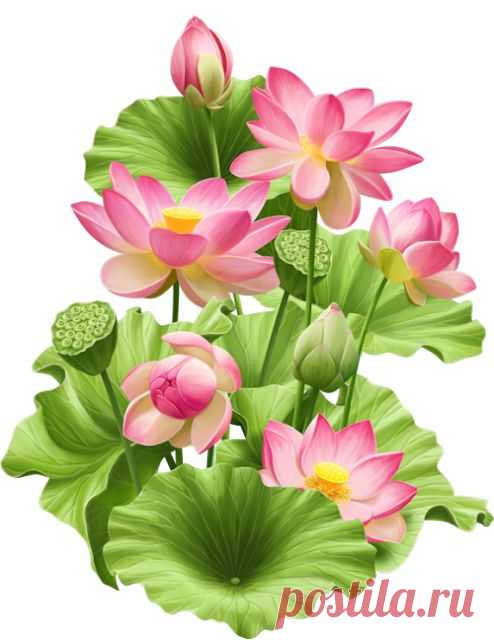 (24) Pinterest