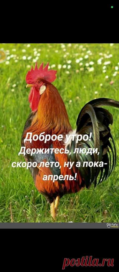 Выпуск №6279 - выпуск анекдотов сайта вокруг смеха