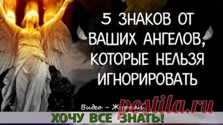 (8) Одноклассники