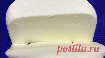 Сыр в магазине больше не покупаю. Готовлю дома сама. Получается вкуснее и дешевле | Тарелка | Рецепты | Дзен