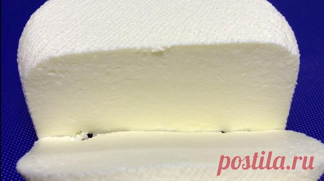 Сыр в магазине больше не покупаю. Готовлю дома сама. Получается вкуснее и дешевле | Тарелка | Рецепты | Дзен