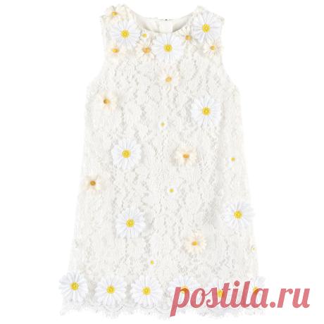 dolce-gabbana--