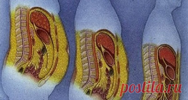 Диетологи рекомендуют этот завтрак людям, которые хотят потерять живот Он эффективно сжигает жир и нормализует ваш вес.