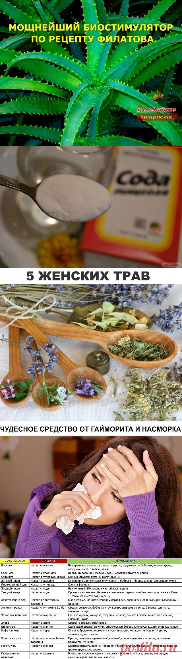 (90) Одноклассники