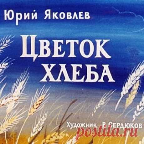 Цветок хлеба, Яковлев Юрий диафильм (1971) смотреть читать рассказ с картинками онлайн | Русская сказка Диафильм "Цветок хлеба"; Категория: Сказки, рассказы, повести; Студия: Диафильм; Год выпуска: 1971; Цветность: Цветной; Вид диафильма: Рисованный; Кадров: 30; Номер: Д-274-71; Автор: Яковлев