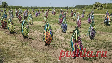 Сотни убитых безымянных украинских силовиков зарывают на кладбище в Днепропетровске: