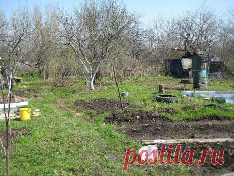 Если у вас появился огород » Интернет-газета Кумушка.com