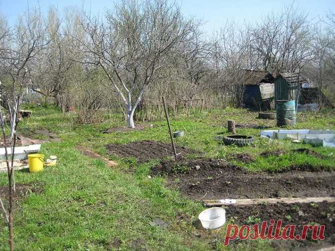 Если у вас появился огород » Интернет-газета Кумушка.com