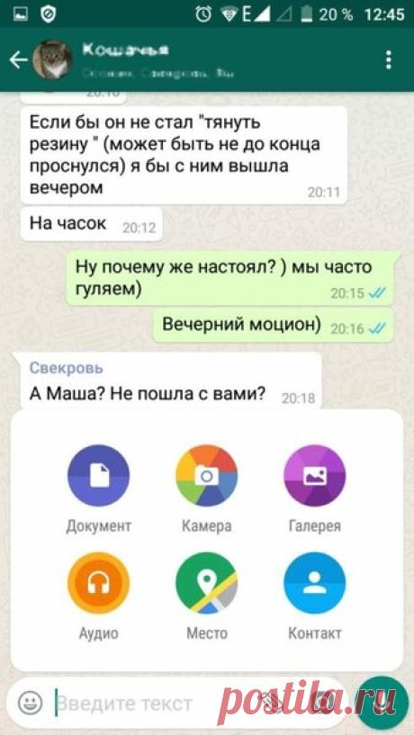 7 советов про WhatsApp, которые облегчат вам жизнь | ICHIP.RU | Яндекс Дзен