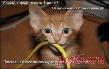 Домашний сисадмин. | KotoMail.ru