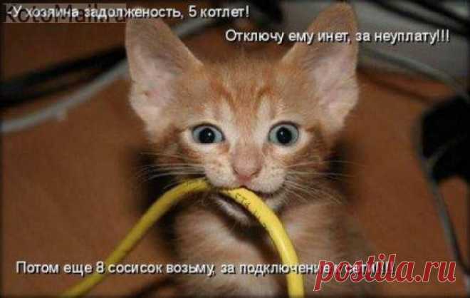 Домашний сисадмин. | KotoMail.ru