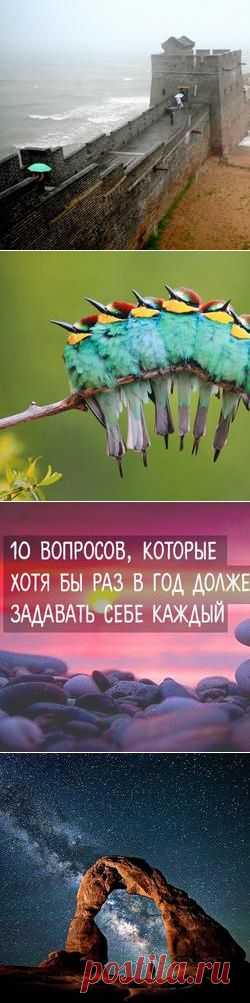 10 вопросов, которые хотя бы раз в год должен задавать себе каждый, кто хочет чего-то добиться