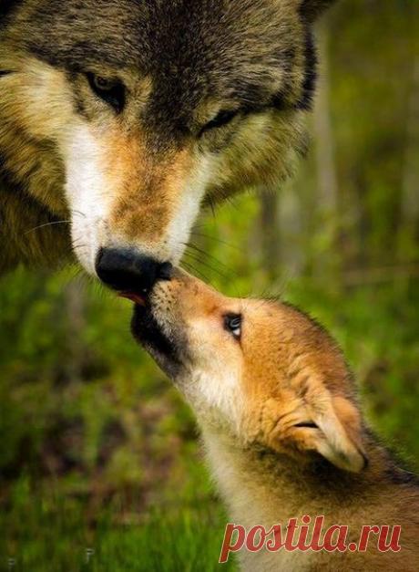 Восхитительно!