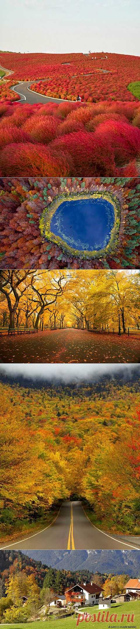 (+1) тема - Яркие осенние фотографии | ТУРИЗМ И ОТДЫХ