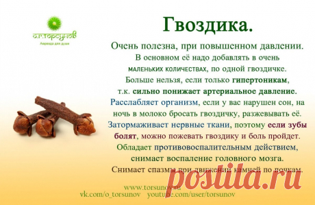 Гвоздика