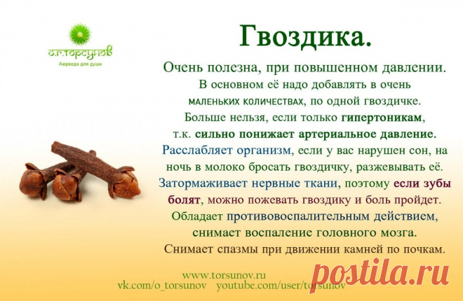 Гвоздика