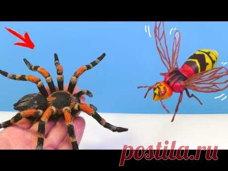 ПАУК ПТИЦЕЕД против ШЕРШНЯ. Лепим из пластилина 🐝 Видео Лепка