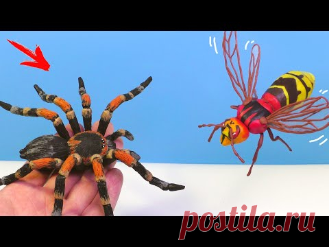 ПАУК ПТИЦЕЕД против ШЕРШНЯ. Лепим из пластилина 🐝 Видео Лепка