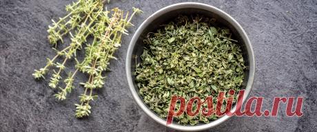 Тимьян: лечебные свойства и противопоказания. Чем заменить тимьян в рецепте OUM.RU Разные материалы, статьи и электронные книги о ведической культуре, йоге, питании, буддизме и многом другом для самосовершенствования