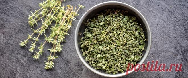 Тимьян: лечебные свойства и противопоказания. Чем заменить тимьян в рецепте OUM.RU Разные материалы, статьи и электронные книги о ведической культуре, йоге, питании, буддизме и многом другом для самосовершенствования