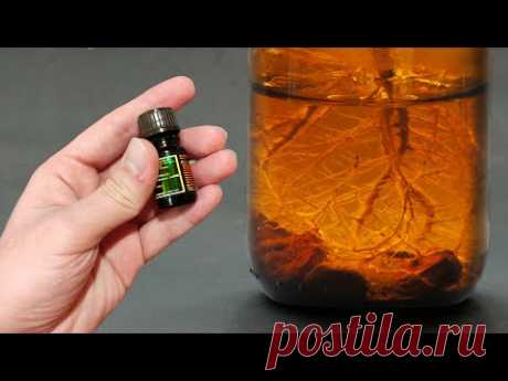 1 КАПЛЯ! ЧЕРЕНКИ ПУСКАЮТ КОРНИ БЕЗ ОСТАНОВКИ! СТИМУЛЯТОР РОСТА СВОИМИ РУКАМИ!