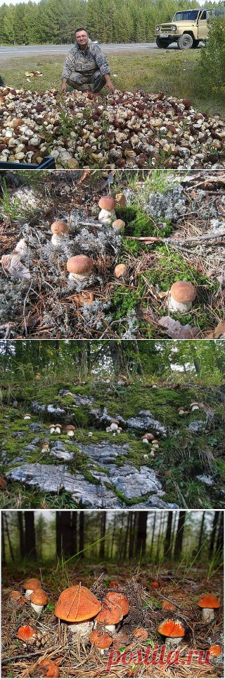 (30) Одноклассники
