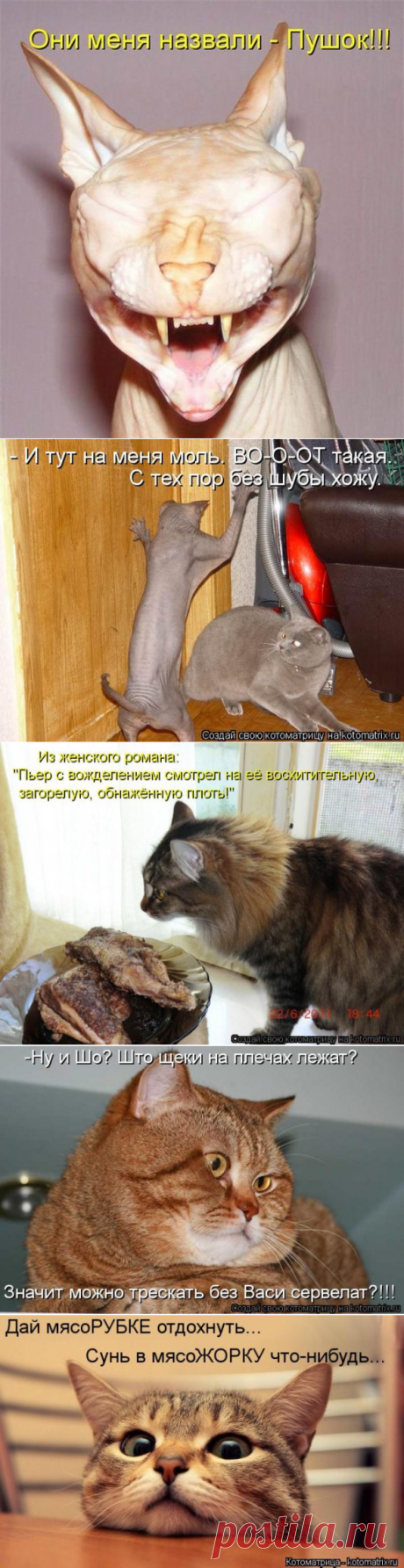 Мысли вслух