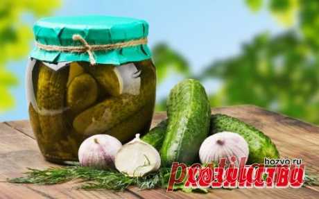 Что мешает огурцам дать урожай