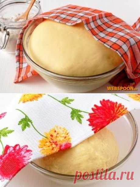Сдобное дрожжевое тесто