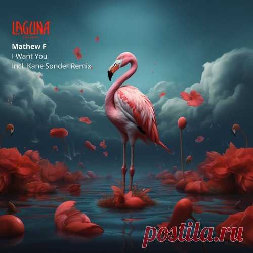 Mathew F – I Want You [LGNR114]