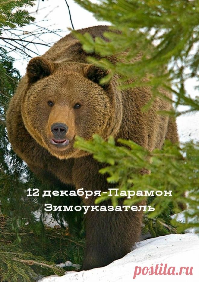 С Парамоном-Зимоуказателем! Пусть зима нарядится в шубу, а в доме будет печь тепло топить! С праздником стужи! Открытки на День Парамон Зимоуказатель!