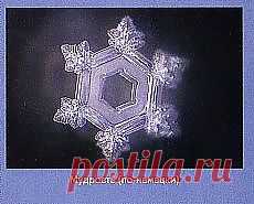 Величайшая почесть, которую можно оказать истине, — это руководствоваться ею.Ральф Уолдо Эмерсон