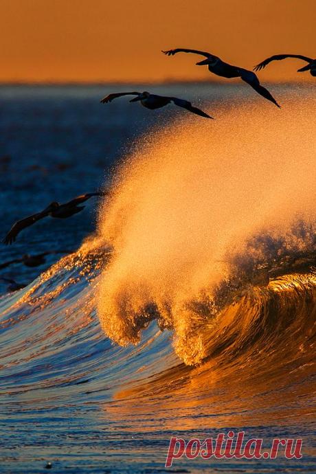 seascape | Creation praises Jah...