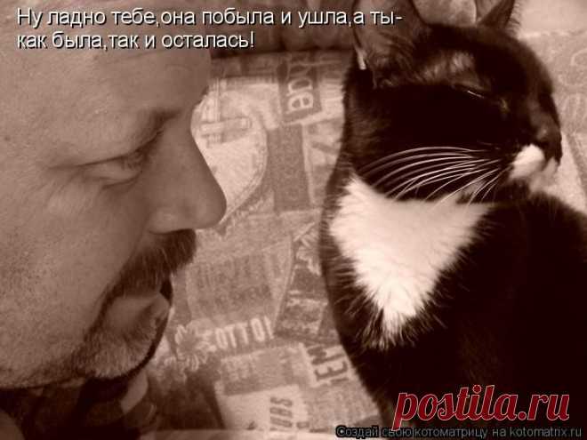 Котоматрица: Лучшие за январь 2010