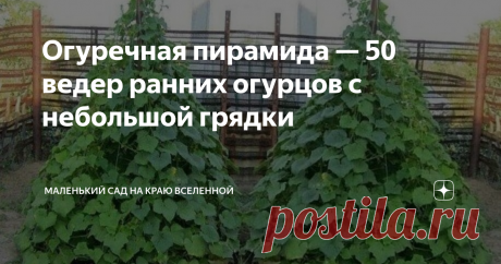 Огуречная пирамида — 50 ведер ранних огурцов с небольшой грядки