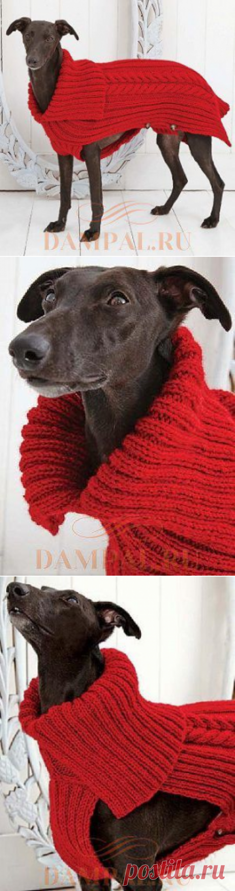 Вязаная попона для собаки | DAMские PALьчики. ru