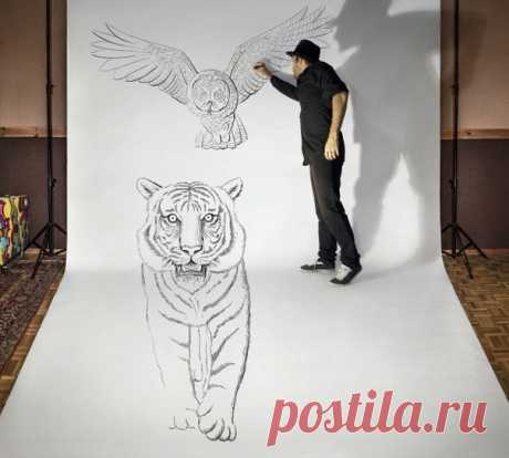 Фотографии на стене сообщества – 47 366 фотографий | ВКонтакте