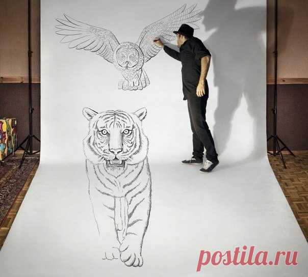 Фотографии на стене сообщества – 47 366 фотографий | ВКонтакте