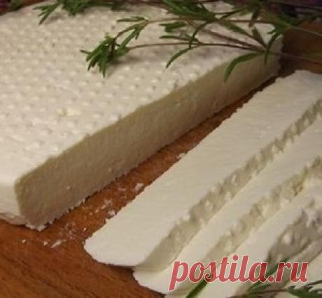 Готовим адыгейский сыр сами