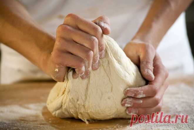 Дрожжевое тесто для пирожков с сухими дрожжами на молоке с рецептом и фото